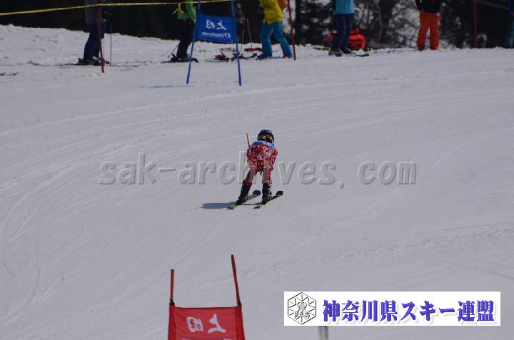 190302_122318_0.jpg