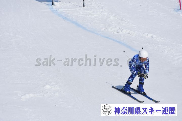 190302_094907_1.jpg