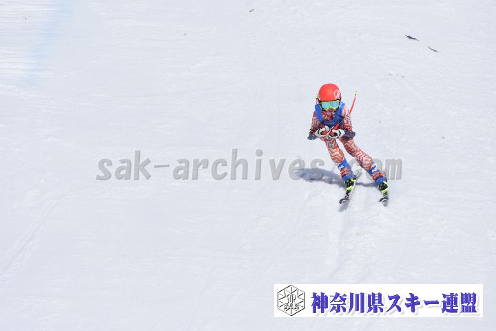190303_104502_4.jpg
