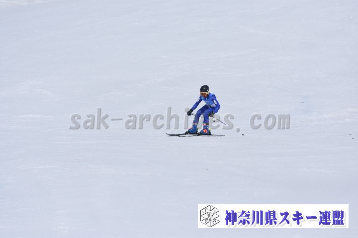 190303_110017_2.jpg
