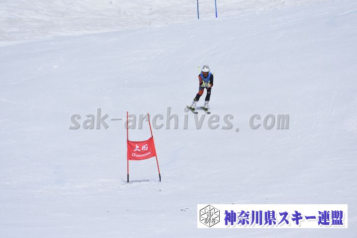 190303_110456_0.jpg