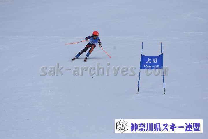 190303_111745_0.jpg