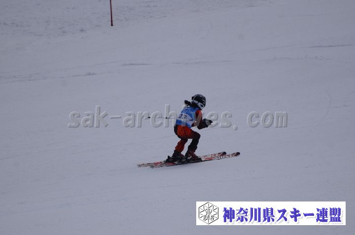190303_112111_3.jpg