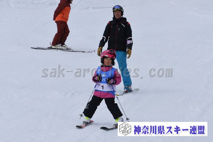 190303_124146_0.jpg