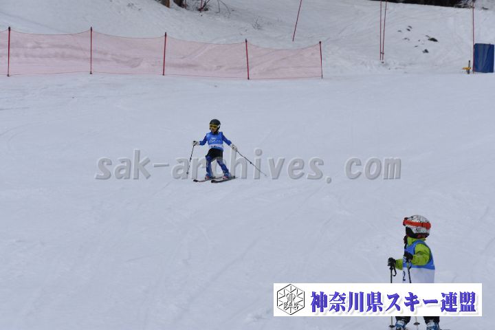 190303_124147_0.jpg