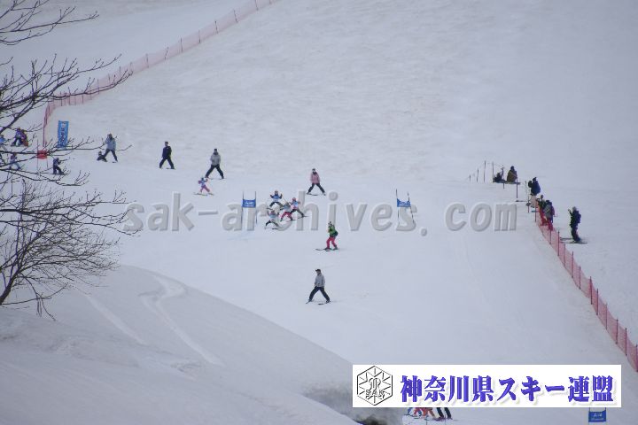 190303_124204_0.jpg