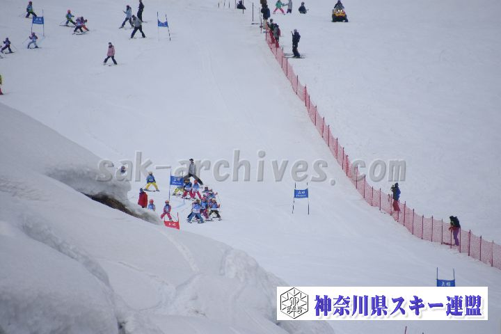 190303_124220_0.jpg