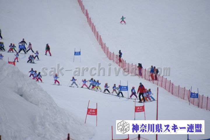 190303_124246_1.jpg
