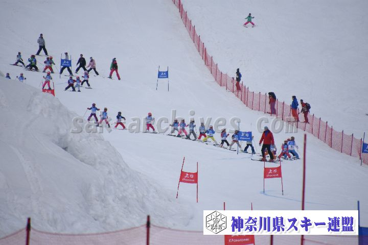190303_124247_0.jpg