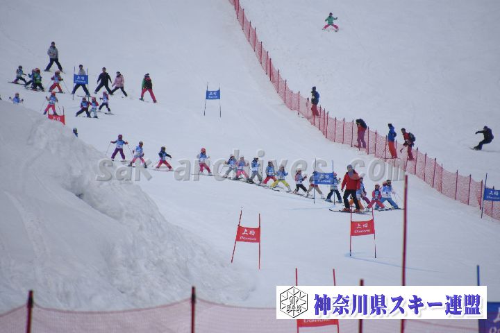 190303_124247_1.jpg