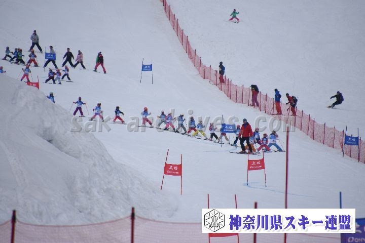 190303_124247_2.jpg