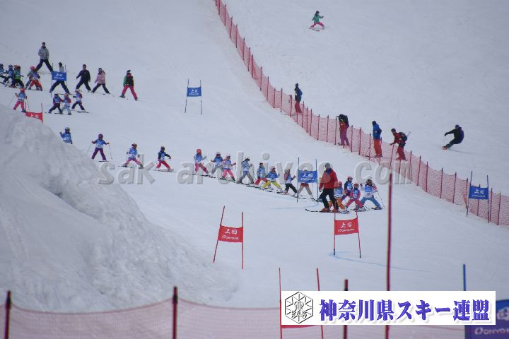 190303_124247_3.jpg