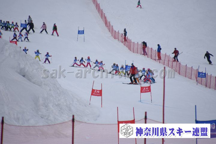 190303_124248_1.jpg