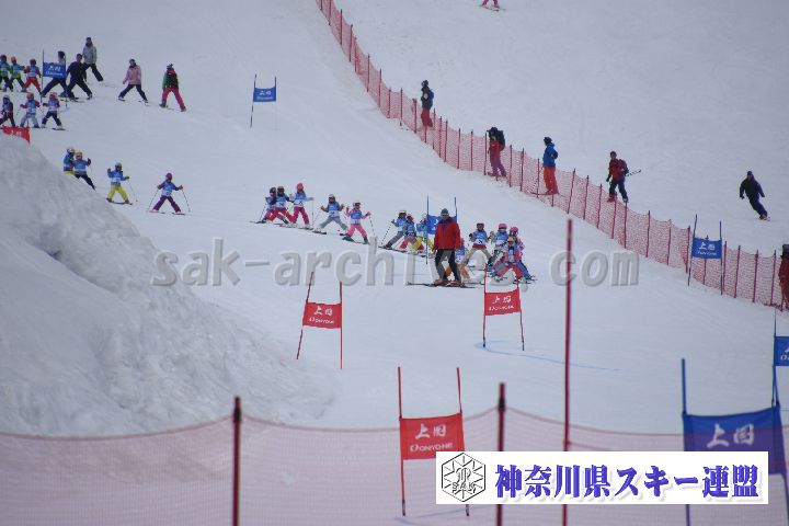 190303_124248_3.jpg