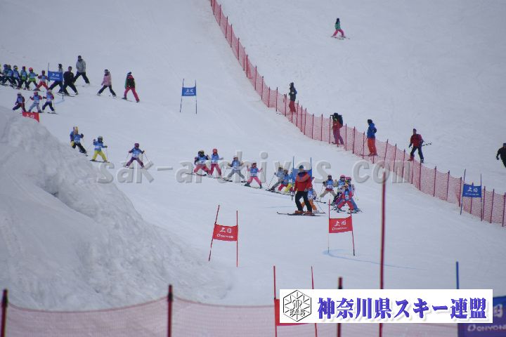 190303_124249_0.jpg