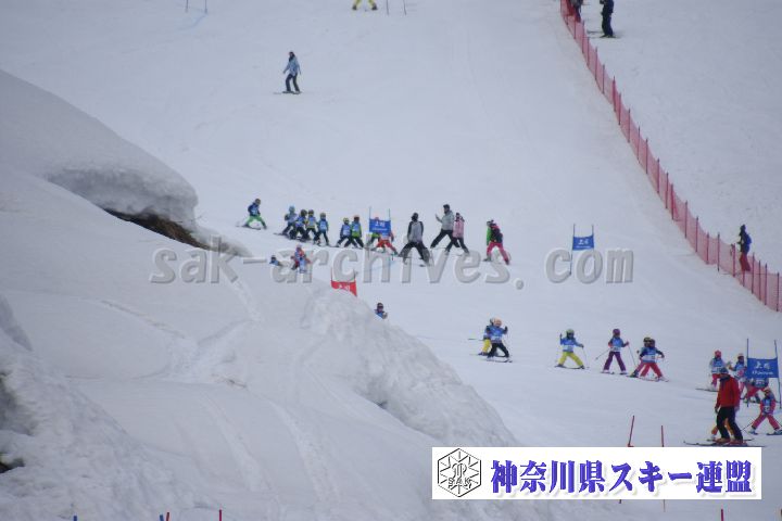 190303_124251_0.jpg