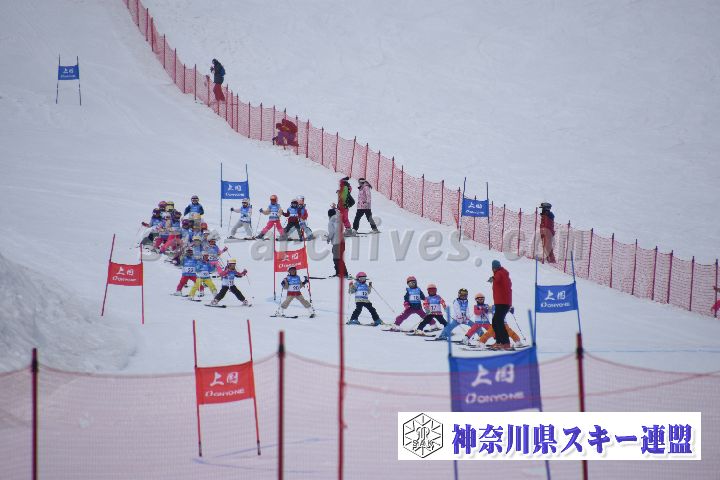 190303_124333_0.jpg