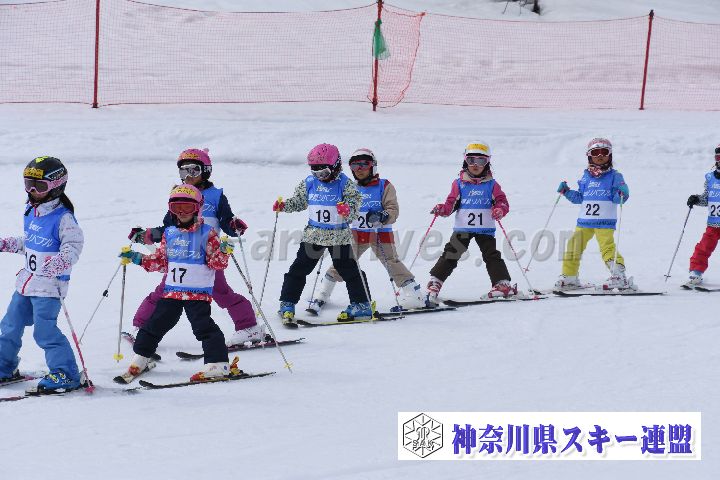 190303_124443_1.jpg