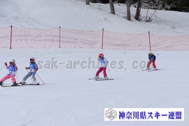190303_124445_0.jpg