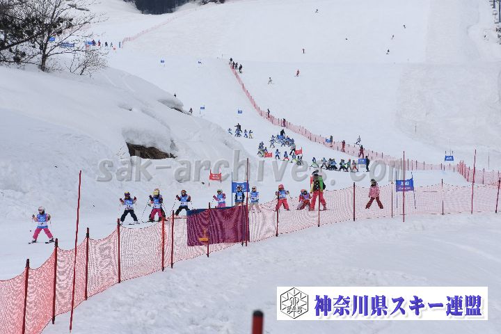 190303_124448_0.jpg