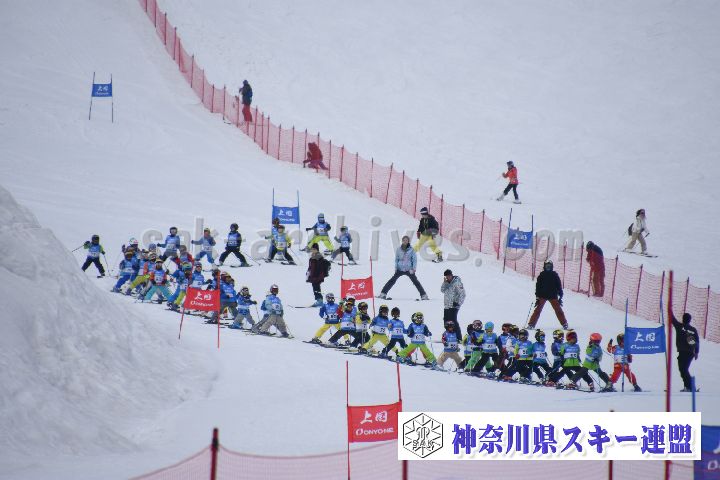 190303_124517_0.jpg
