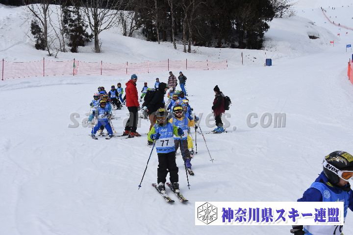 190303_124936_0.jpg