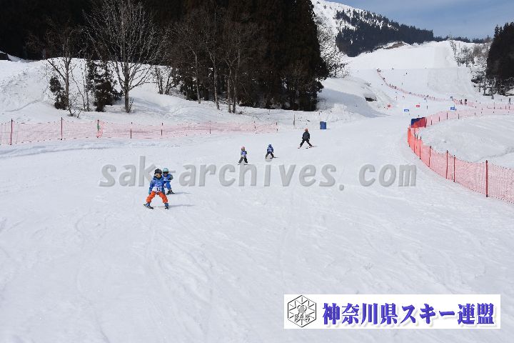 190303_125317_0.jpg