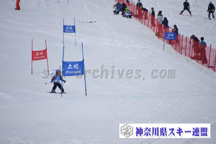190303_133313_1.jpg