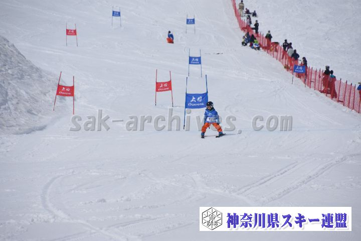 190303_133347_0.jpg