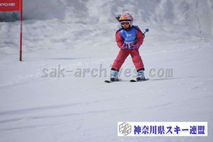 190303_133517_0.jpg