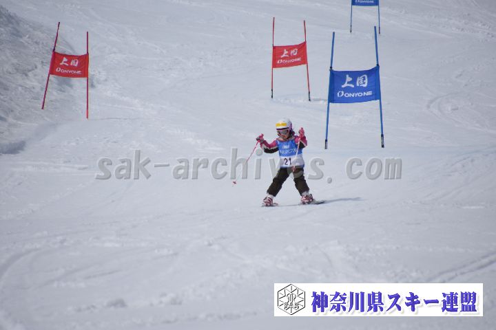 190303_133816_1.jpg
