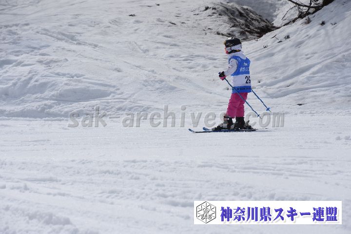 190303_134308_2.jpg