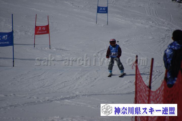 190303_141208_0.jpg