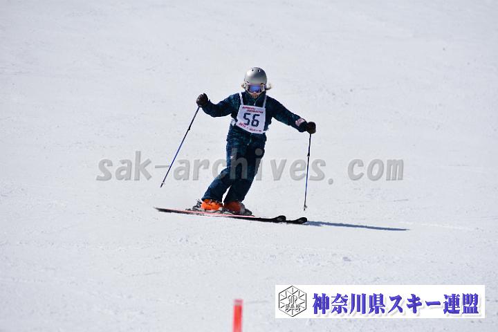 20190302-115404-1.jpg