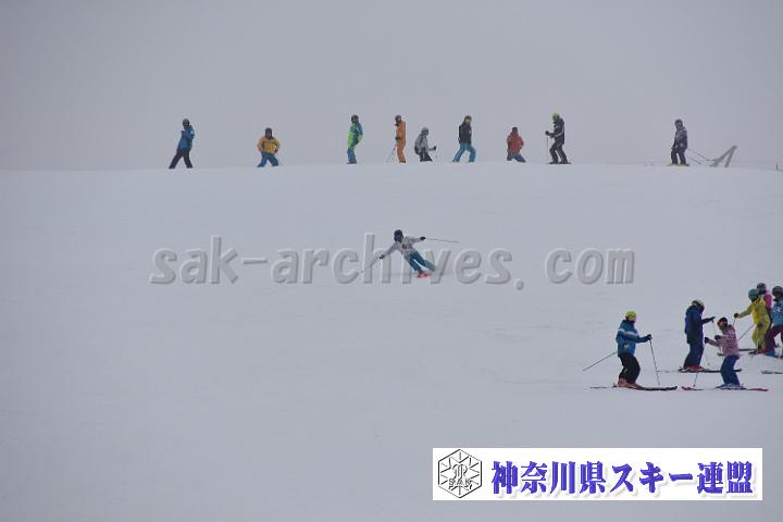 20190303-095243-3.jpg