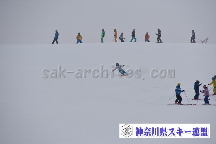 20190303-095243-4.jpg