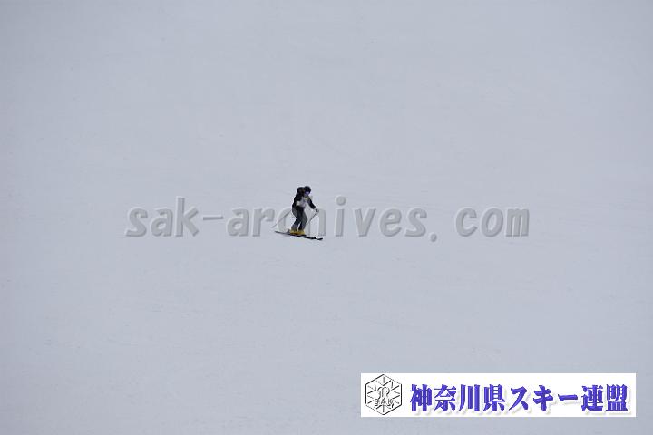 20190303-111013-1.jpg
