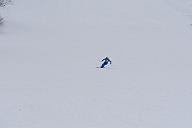 20190303-110439-0