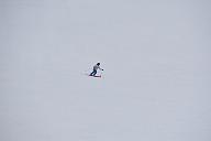 20190303-110835-1
