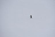 20190303-111010-2