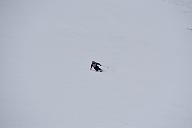 20190303-111123-3