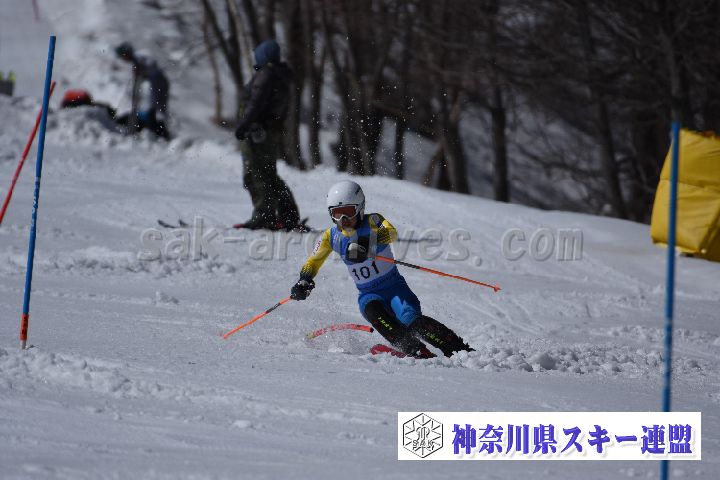 190309_125556_1.jpg