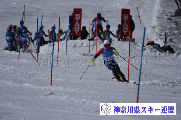 190309_125828_3.jpg