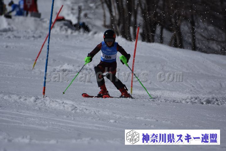 190309_130107_4.jpg