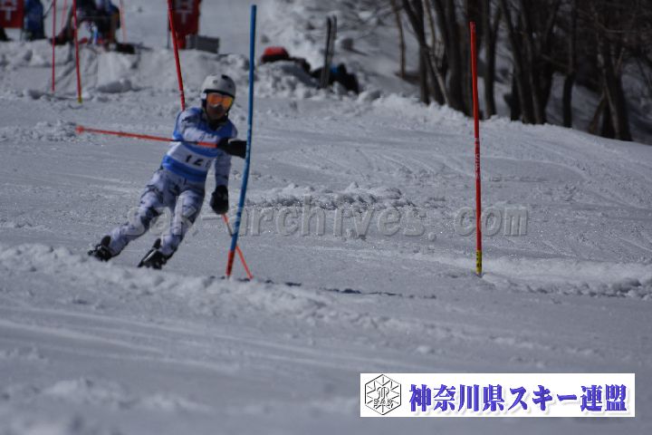 190309_131128_0.jpg