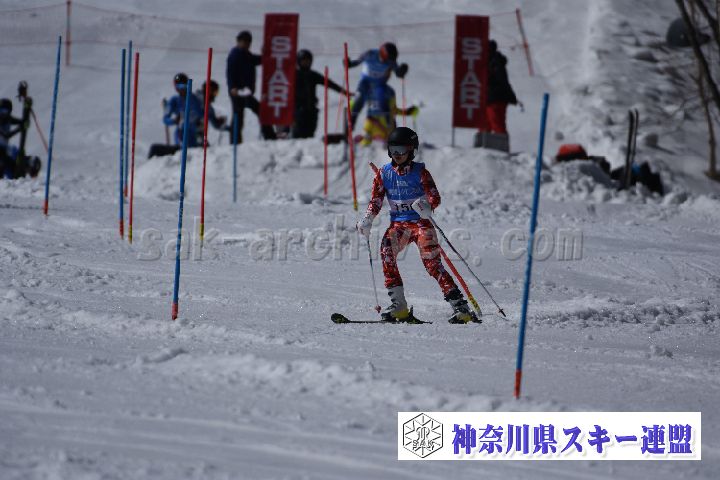 190309_131537_0.jpg