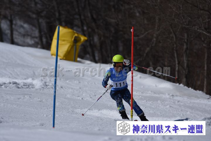 190309_131952_0.jpg