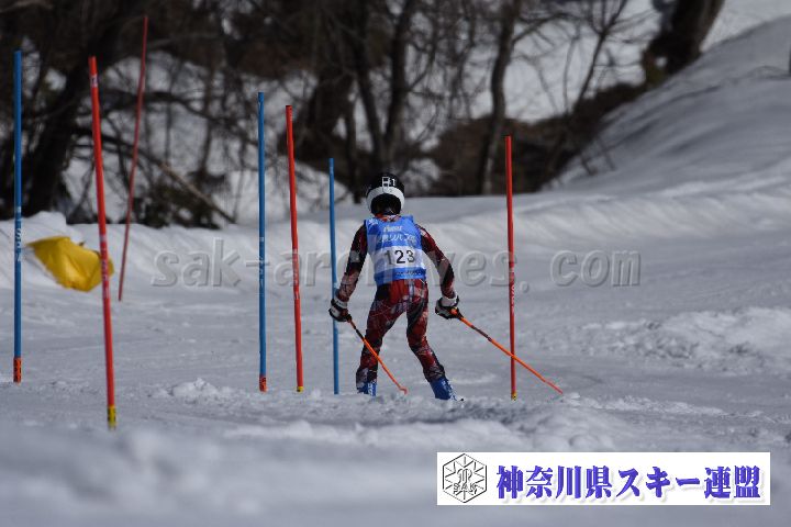190309_132045_1.jpg