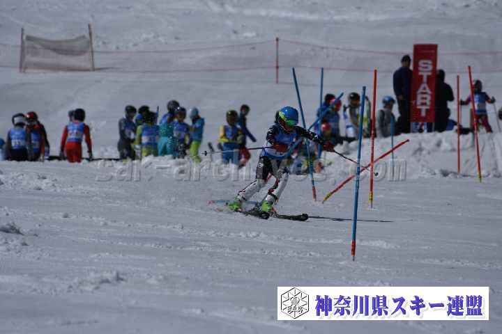 190309_123009_1.jpg