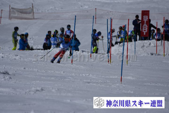 190309_123238_5.jpg
